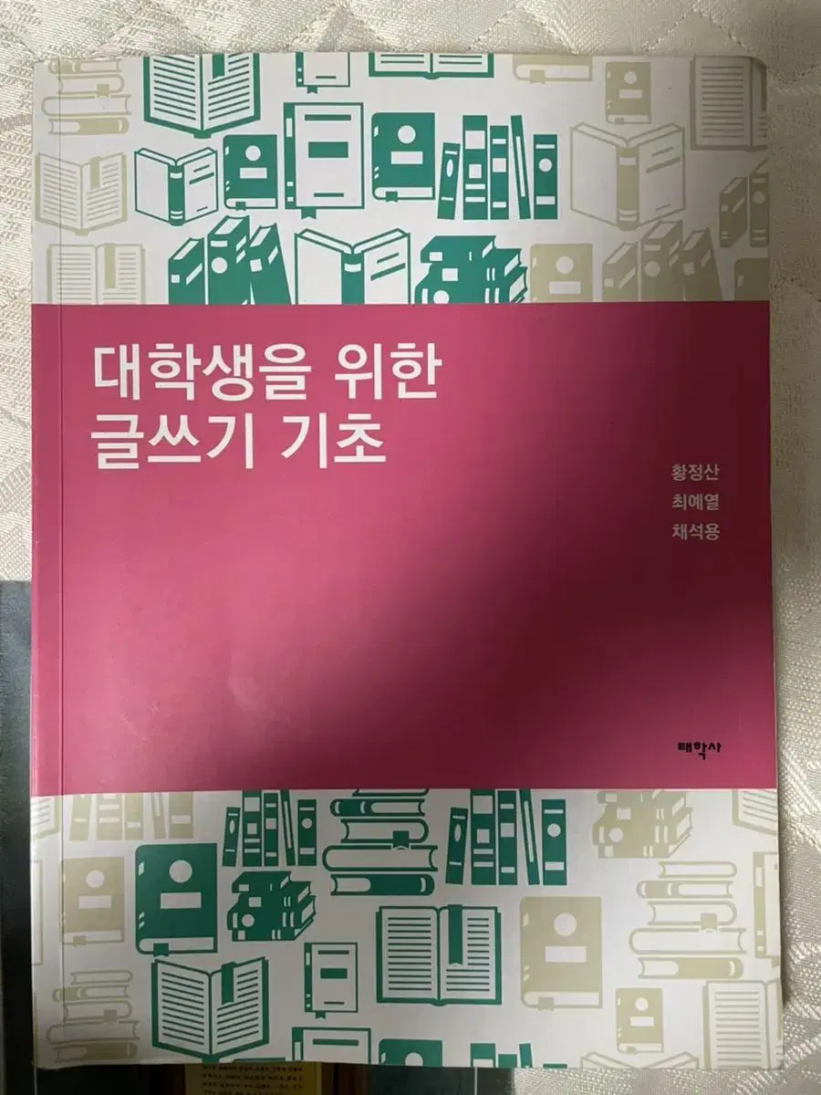 대학생을 위한 글쓰기 기초 (태학사)